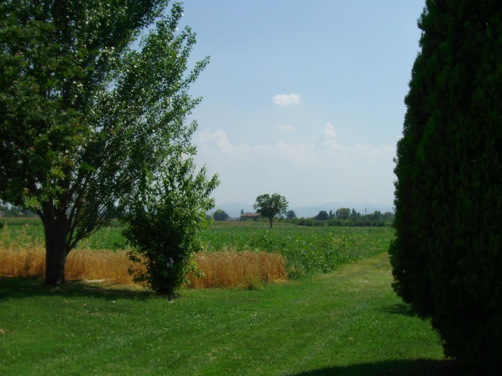 B&B Santa Rita Modena Exterior photo